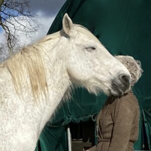 Paardencoaching individueel