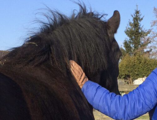 Over de wonderlijke werking van een blauwe hoepel